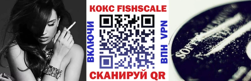 дарк нет наркотические препараты  Братск  Кокаин Fish Scale 