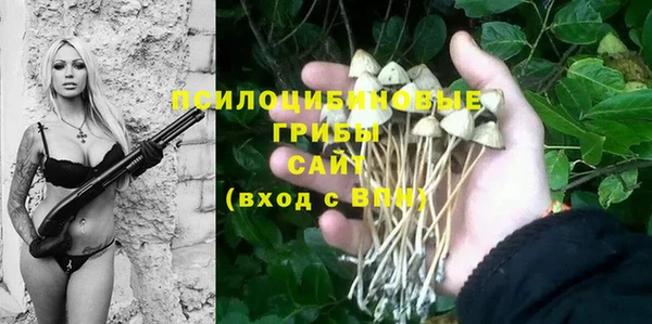 2c-b Баксан