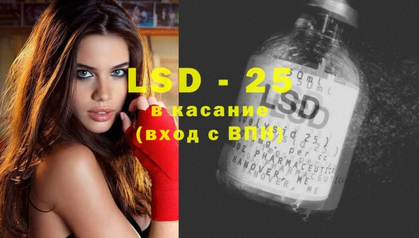 стаф Балахна