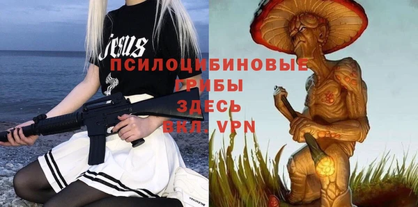 стаф Балахна