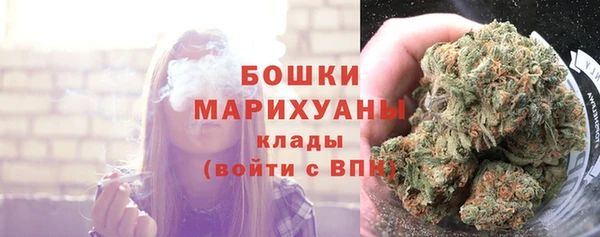 стаф Балахна